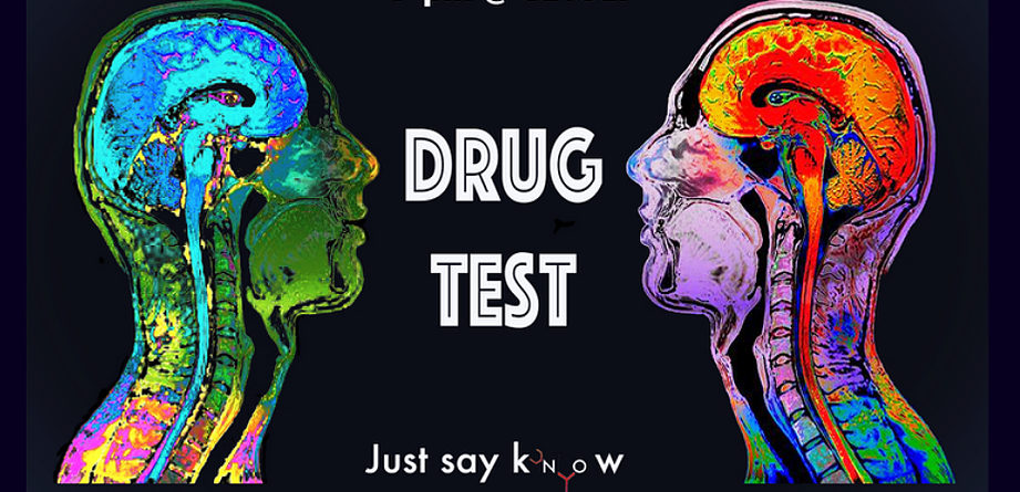 Sarah Rose Siskind's "Drug Test: DMT"